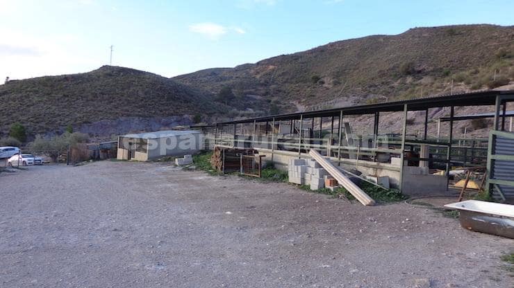 2 soveværelse Virksomhed til salg i Cantoria - € 339.000 (Ref: 9115690)