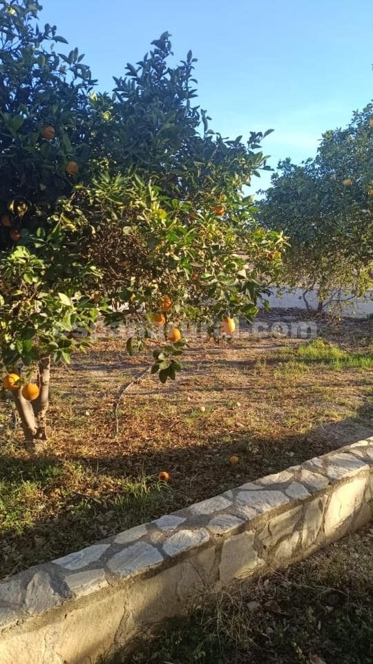 3 sypialnia Willa na sprzedaż w Cuevas del Almanzora - 255 000 € (Ref: 9146684)