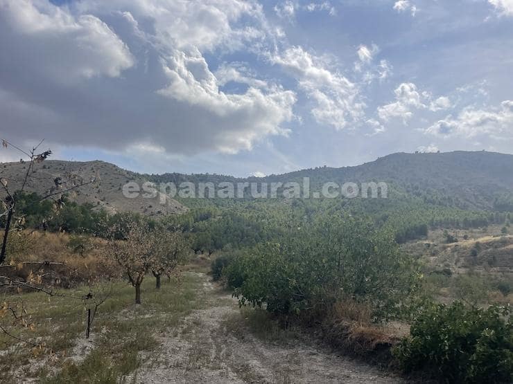 3 camera da letto Finca/Casa di Campagna in vendita in Oria - 104.995 € (Rif: 9263947)