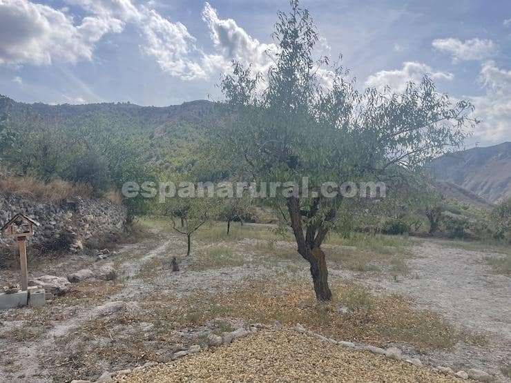 3 camera da letto Finca/Casa di Campagna in vendita in Oria - 104.995 € (Rif: 9263947)