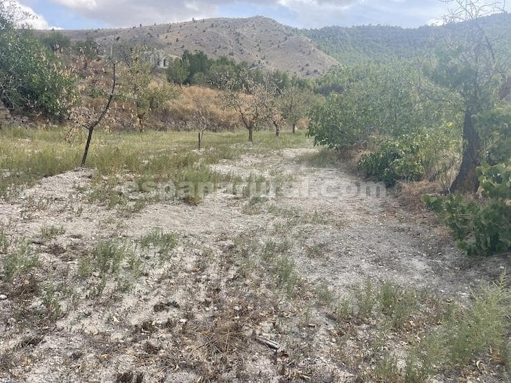 3 camera da letto Finca/Casa di Campagna in vendita in Oria - 104.995 € (Rif: 9263947)