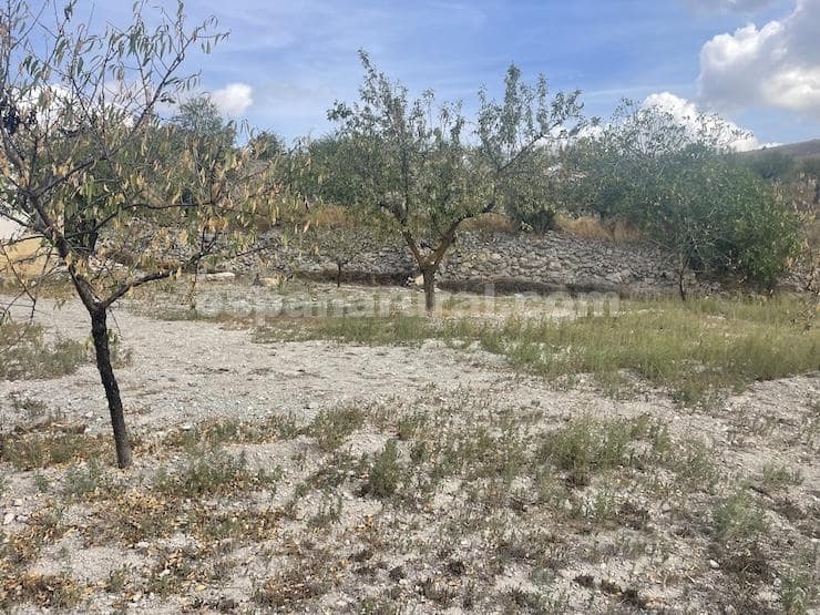 3 camera da letto Finca/Casa di Campagna in vendita in Oria - 104.995 € (Rif: 9263947)