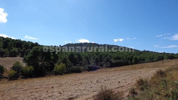 Finca/Maison de Campagne à vendre à Las Vertientes - 220 000 € (Ref: 9467951)
