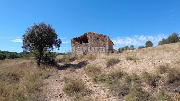 Finca/Maison de Campagne à vendre à Las Vertientes - 220 000 € (Ref: 9467951)