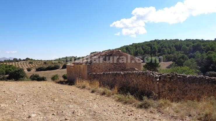 Finca/Maison de Campagne à vendre à Las Vertientes - 220 000 € (Ref: 9467951)