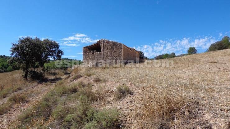 Finca/Maison de Campagne à vendre à Las Vertientes - 220 000 € (Ref: 9467951)