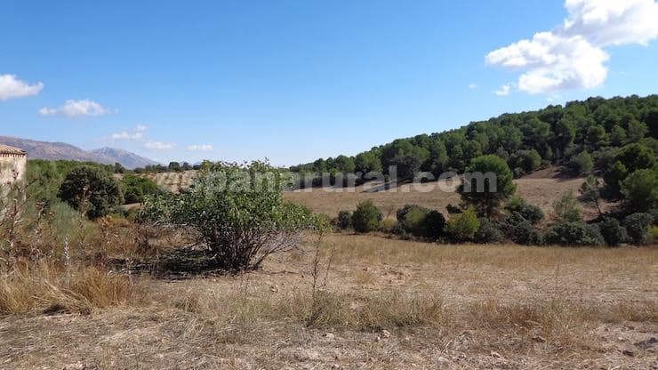 Finca/Maison de Campagne à vendre à Las Vertientes - 220 000 € (Ref: 9467951)