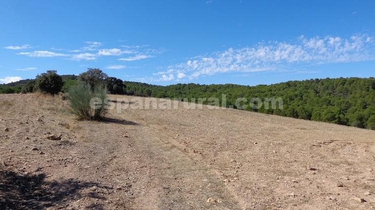 Finca/Maison de Campagne à vendre à Las Vertientes - 220 000 € (Ref: 9467951)