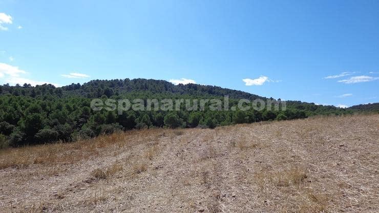 Finca/Maison de Campagne à vendre à Las Vertientes - 220 000 € (Ref: 9467951)