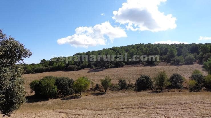 Finca/Maison de Campagne à vendre à Las Vertientes - 220 000 € (Ref: 9467951)