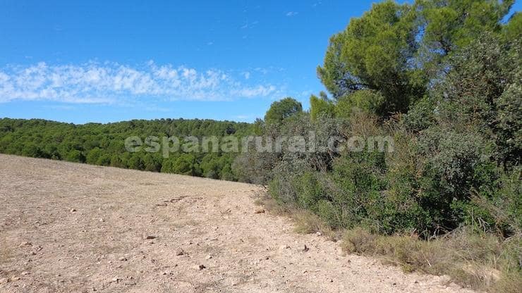Finca/Maison de Campagne à vendre à Las Vertientes - 220 000 € (Ref: 9467951)