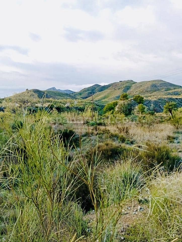 Terre non Aménagée à vendre à Somontin - 39 000 € (Ref: 9673728)