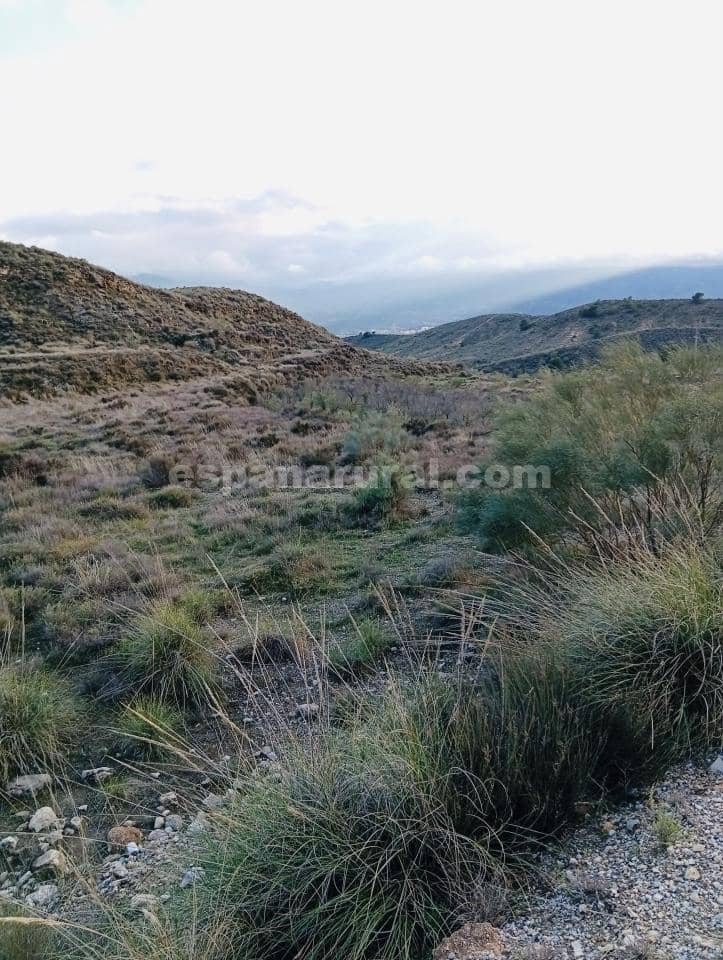 Terre non Aménagée à vendre à Somontin - 39 000 € (Ref: 9673728)