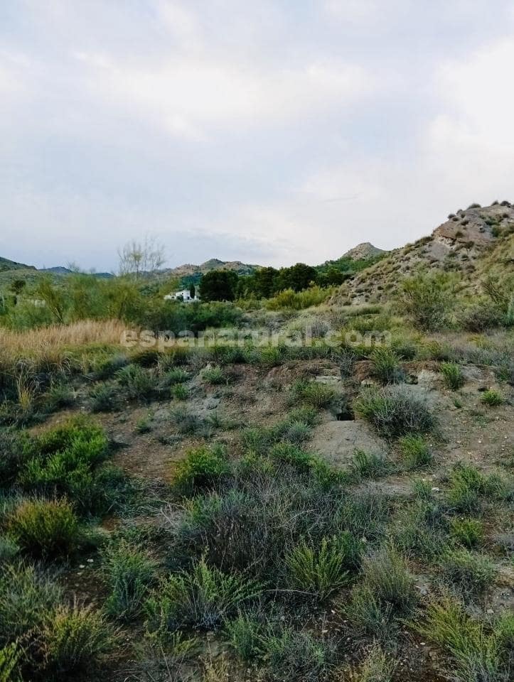 Terre non Aménagée à vendre à Somontin - 39 000 € (Ref: 9673728)