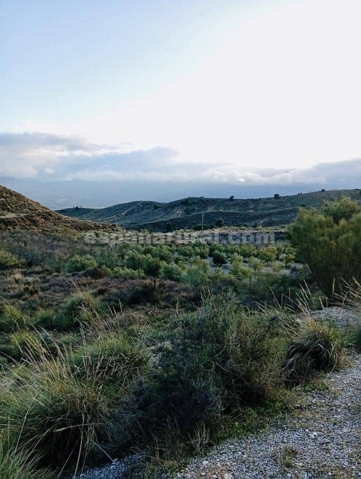 Terre non Aménagée à vendre à Somontin - 39 000 € (Ref: 9673728)