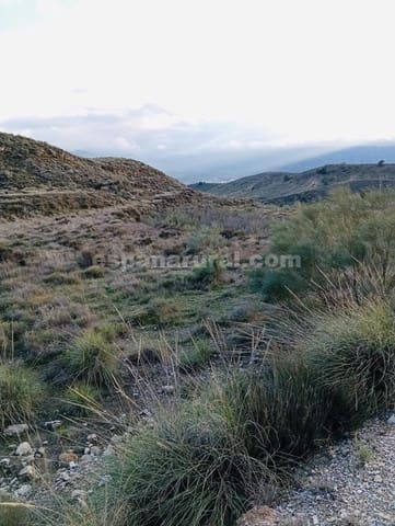 Terre non Aménagée à vendre à Somontín - 39 000 € (Ref: 9673728)