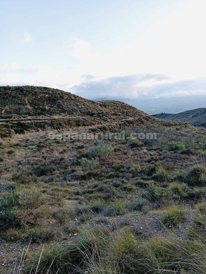 Terre non Aménagée à vendre à Somontin - 39 000 € (Ref: 9673728)