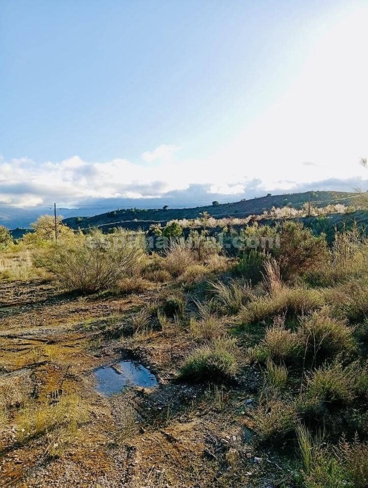 Terre non Aménagée à vendre à Somontin - 39 000 € (Ref: 9673728)