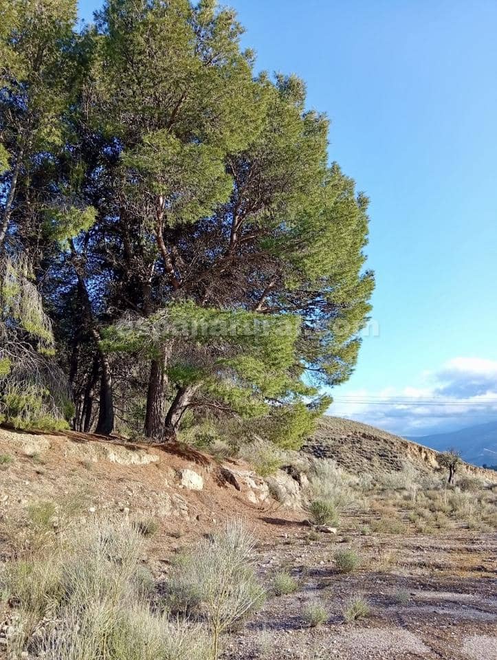 Terre non Aménagée à vendre à Somontin - 39 000 € (Ref: 9673728)