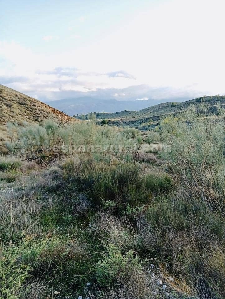 Terre non Aménagée à vendre à Somontin - 39 000 € (Ref: 9673728)