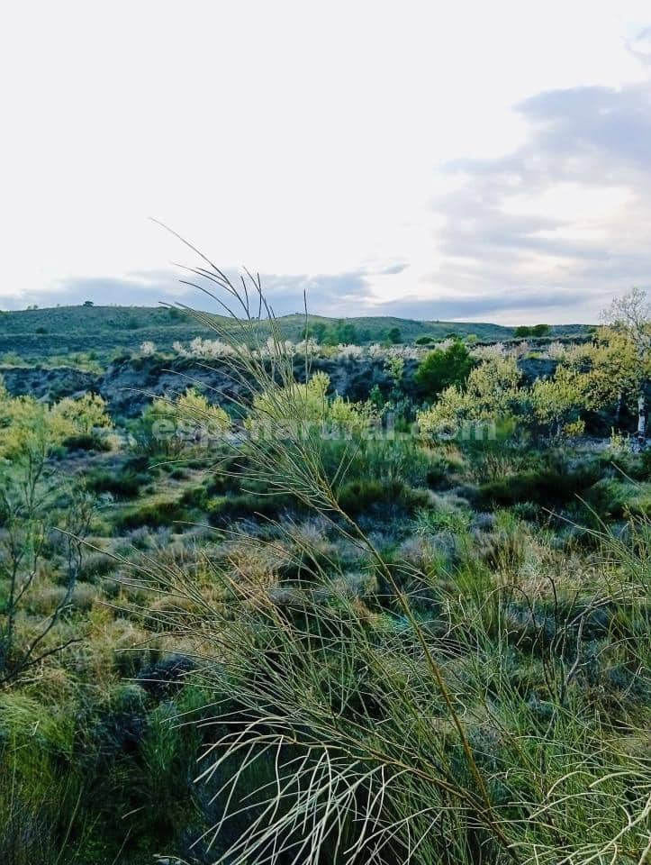 Terre non Aménagée à vendre à Somontin - 39 000 € (Ref: 9673728)