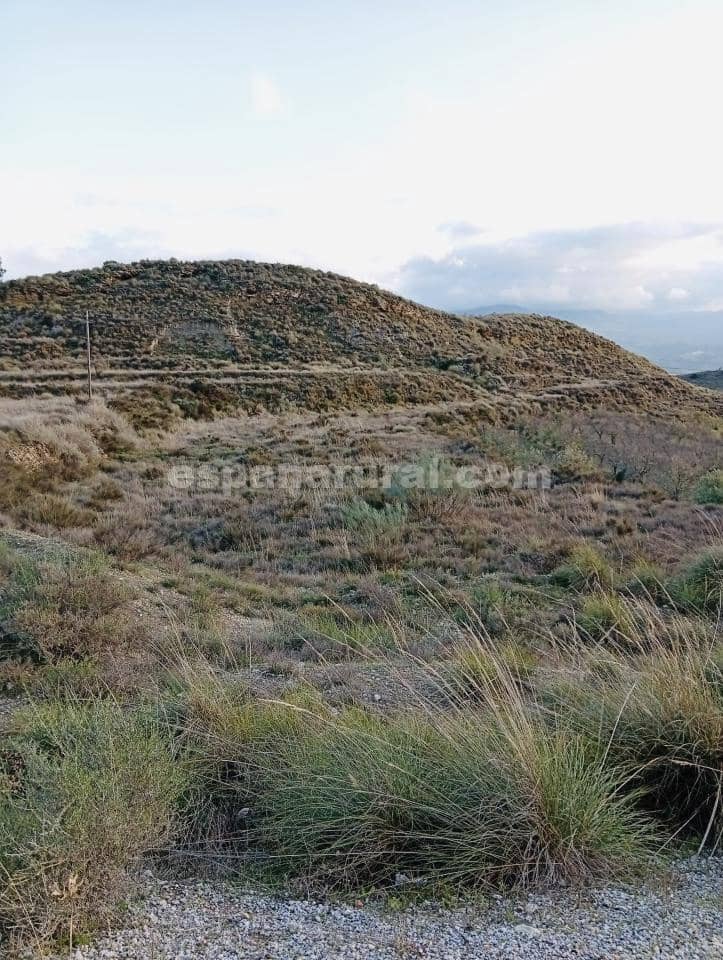 Terre non Aménagée à vendre à Somontin - 39 000 € (Ref: 9673728)