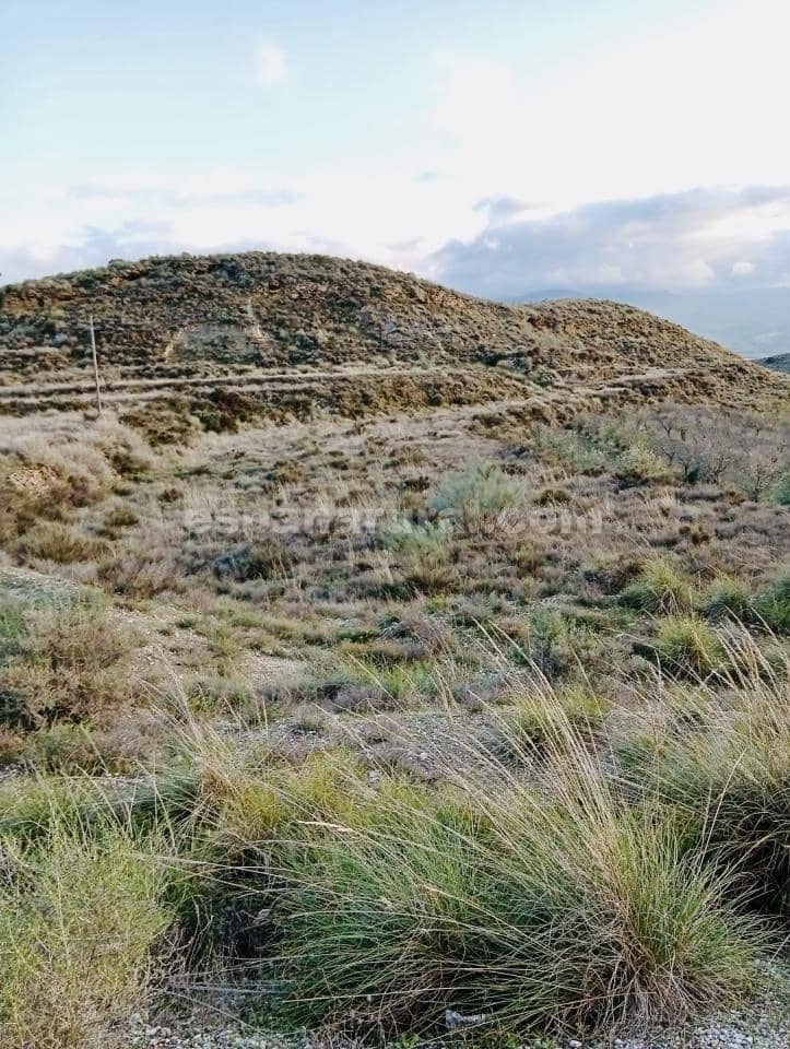 Terre non Aménagée à vendre à Somontin - 39 000 € (Ref: 9673728)