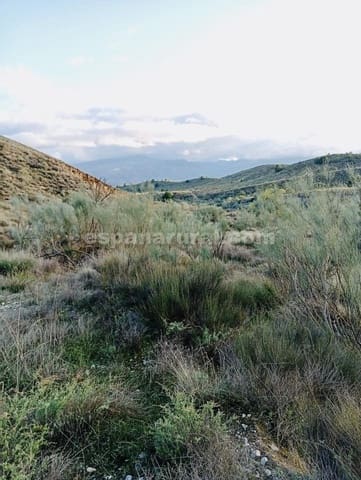 Terre non Aménagée à vendre à Somontín - 39 000 € (Ref: 9673728)