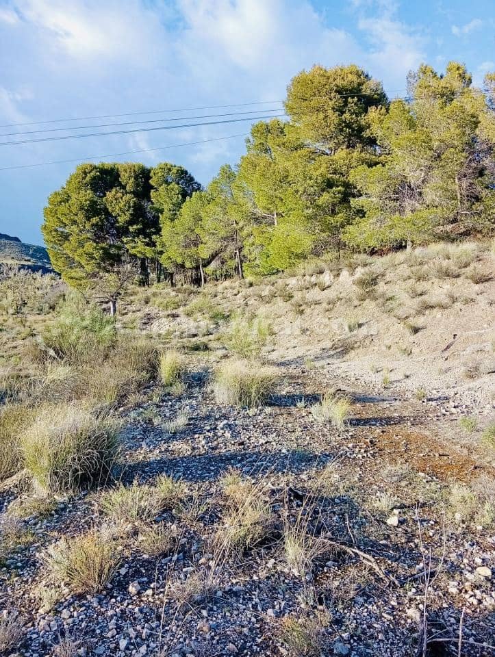 Terre non Aménagée à vendre à Somontin - 39 000 € (Ref: 9673728)