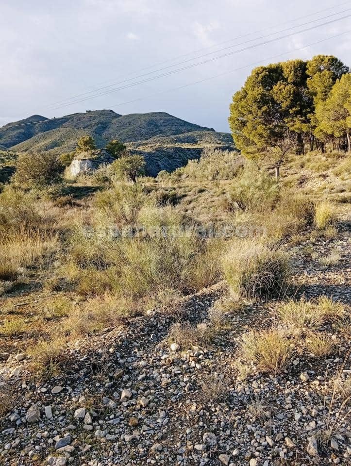 Terre non Aménagée à vendre à Somontin - 39 000 € (Ref: 9673728)