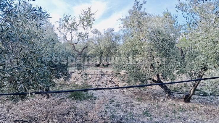 2 bedroom Finca/Country House for sale in Armuna de Almanzora with pool - € 22,000 (Ref: 9704443)