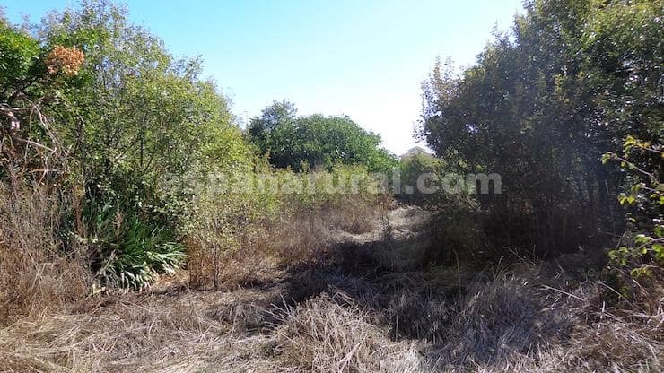 3 bedroom Finca/Country House for sale in Las Vertientes - € 172,000 (Ref: 9726259)