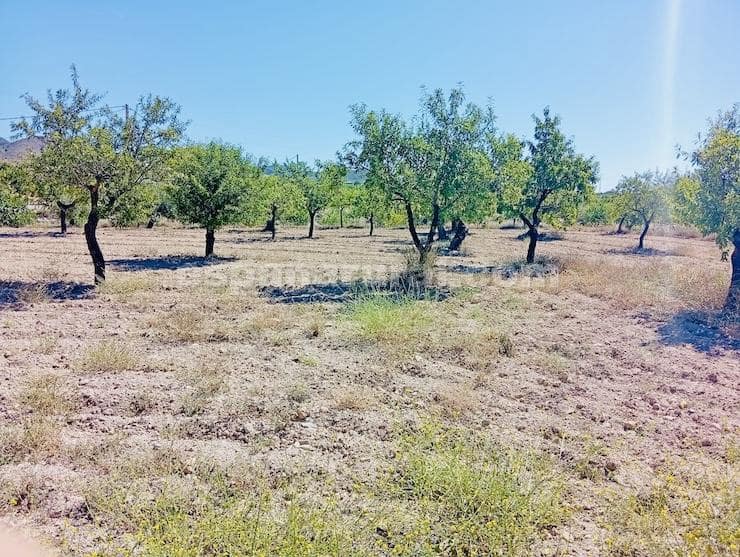 6 Zimmer Finca/Landgut zu verkaufen in Oria - 129.995 € (Ref: 9950896)