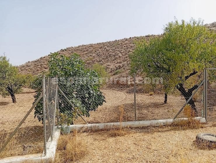 3 bedroom Finca/Country House for sale in Albox - € 219,500 (Ref: 9974552)