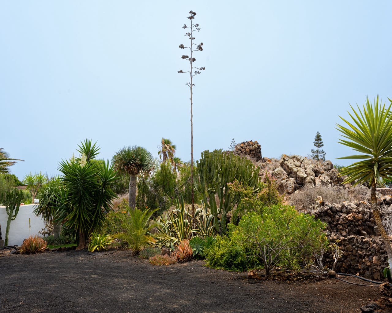 3 camera da letto Villa in vendita in Lajares con piscina garage - 757.000 € (Rif: 8940752)