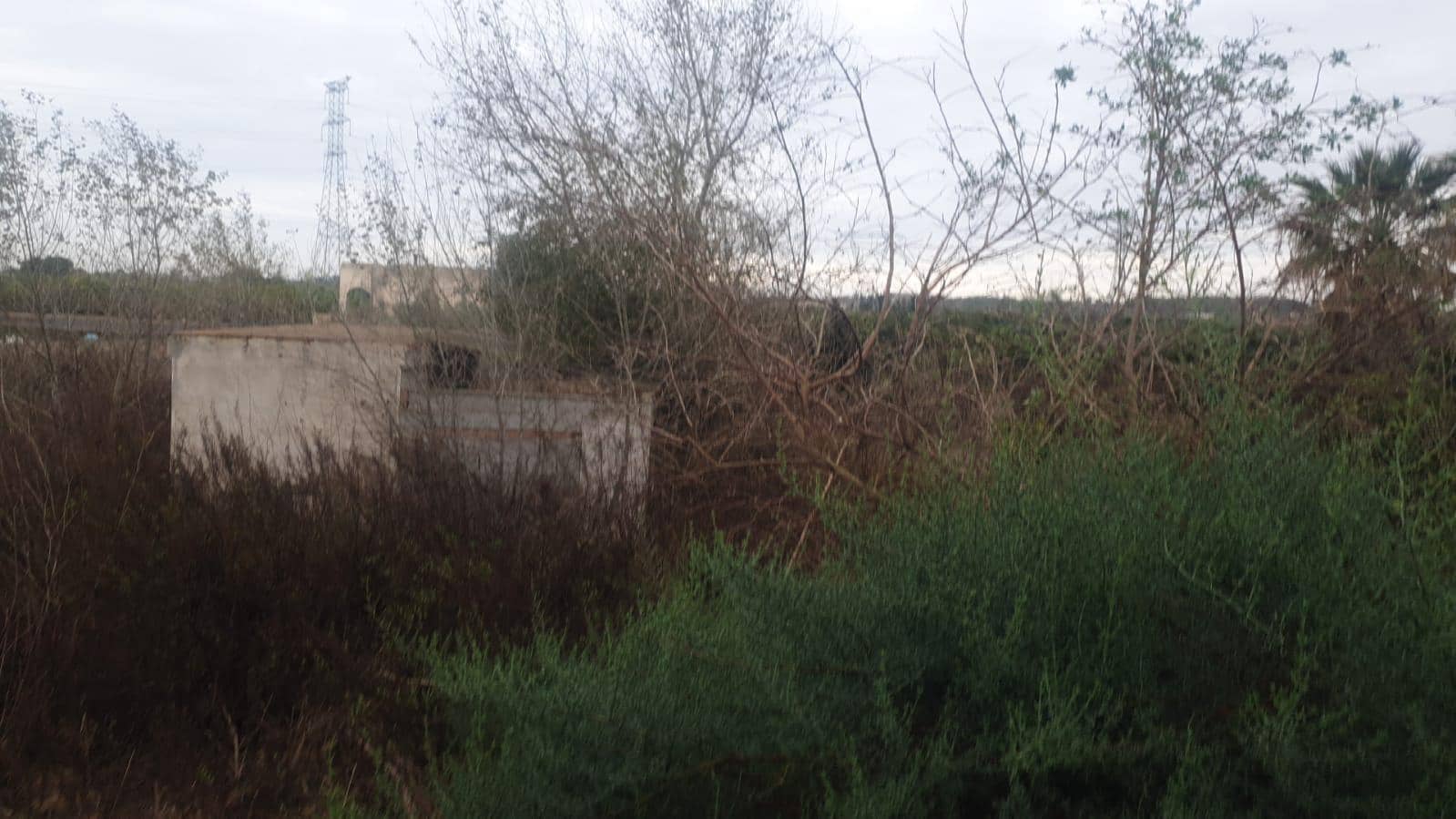 Terreno/Finca Rústica en San Miguel de Salinas en venta - 375.000 € (Ref: 8097758)