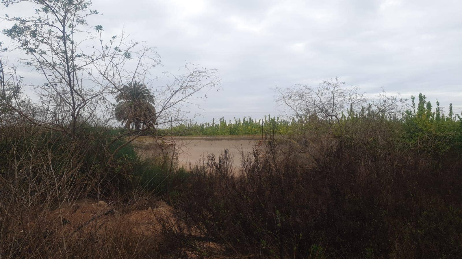 Terreno/Finca Rústica en San Miguel de Salinas en venta - 375.000 € (Ref: 8097758)