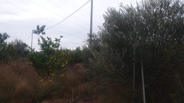 Grond te koop in San Miguel de Salinas - € 375.000 (Ref: 8097758)