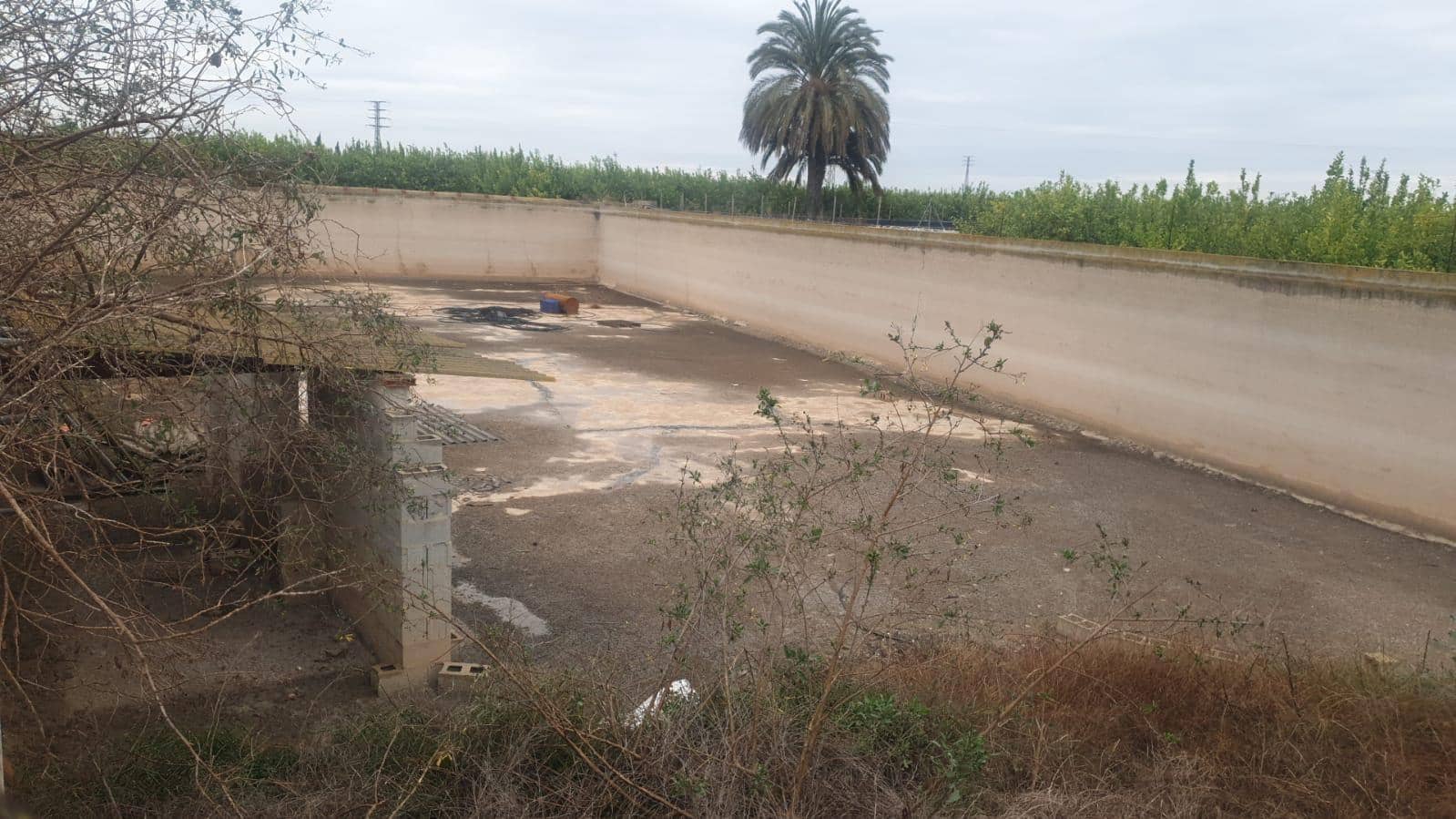 Terreno/Finca Rústica en San Miguel de Salinas en venta - 375.000 € (Ref: 8097758)