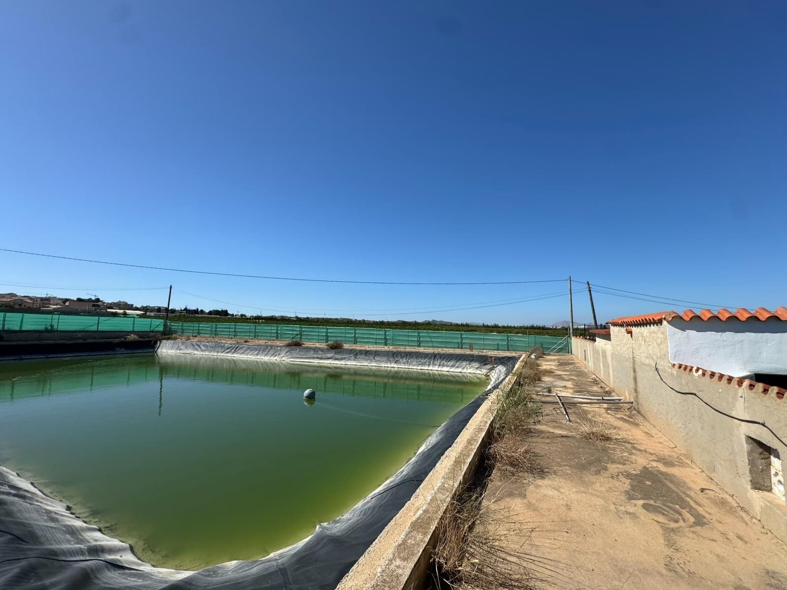 Finca/Casa Rural de 6 habitaciones en San Miguel de Salinas en venta con piscina garaje - 1.489.999 € (Ref: 8556780)