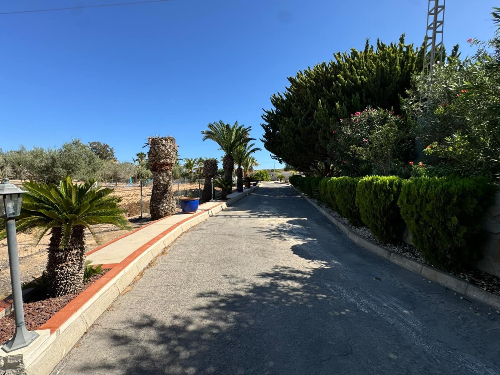 Finca/Casa Rural de 6 habitaciones en San Miguel de Salinas en venta con piscina garaje - 1.489.999 € (Ref: 8556780)