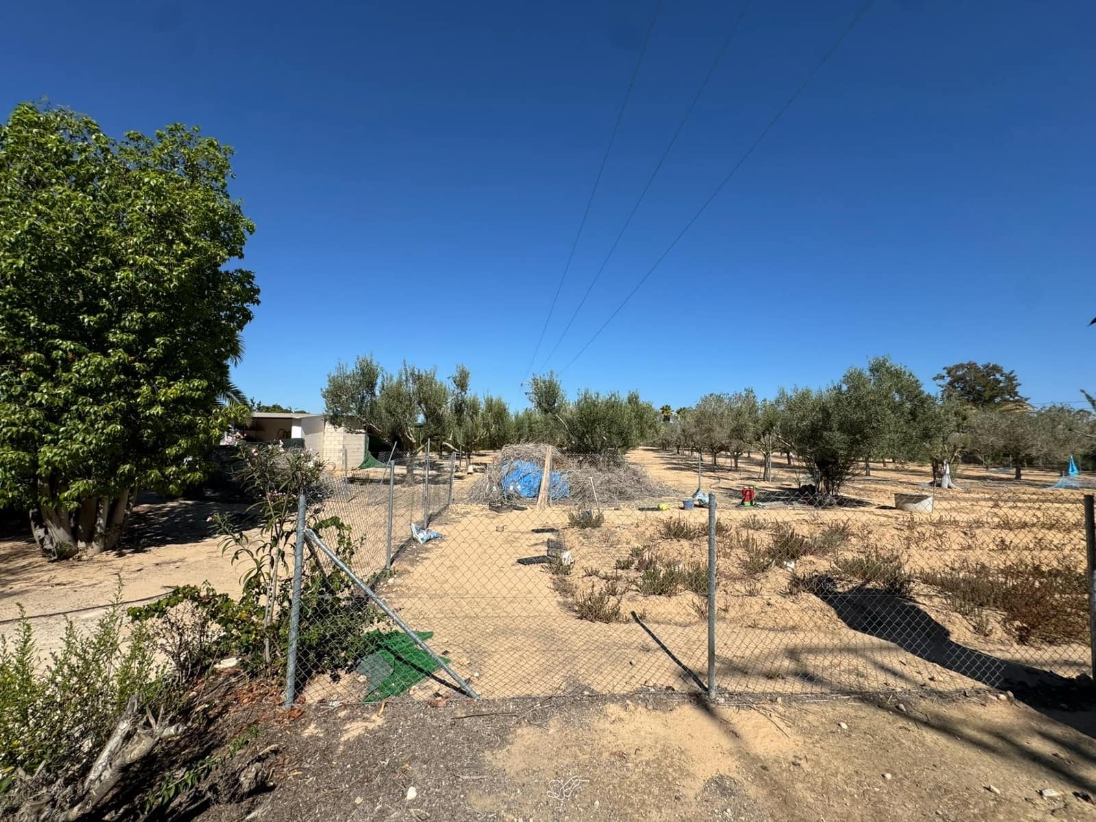 Finca/Casa Rural de 6 habitaciones en San Miguel de Salinas en venta con piscina garaje - 1.489.999 € (Ref: 8556780)