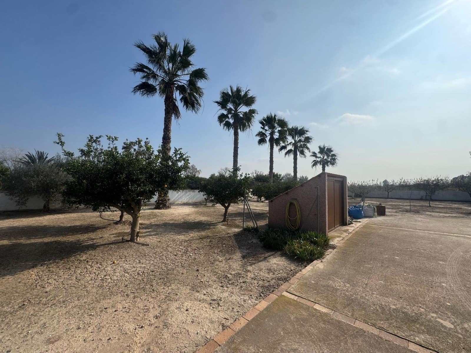 3 chambre Finca/Maison de Campagne à vendre à Daya Vieja avec piscine - 450 000 € (Ref: 8827929)