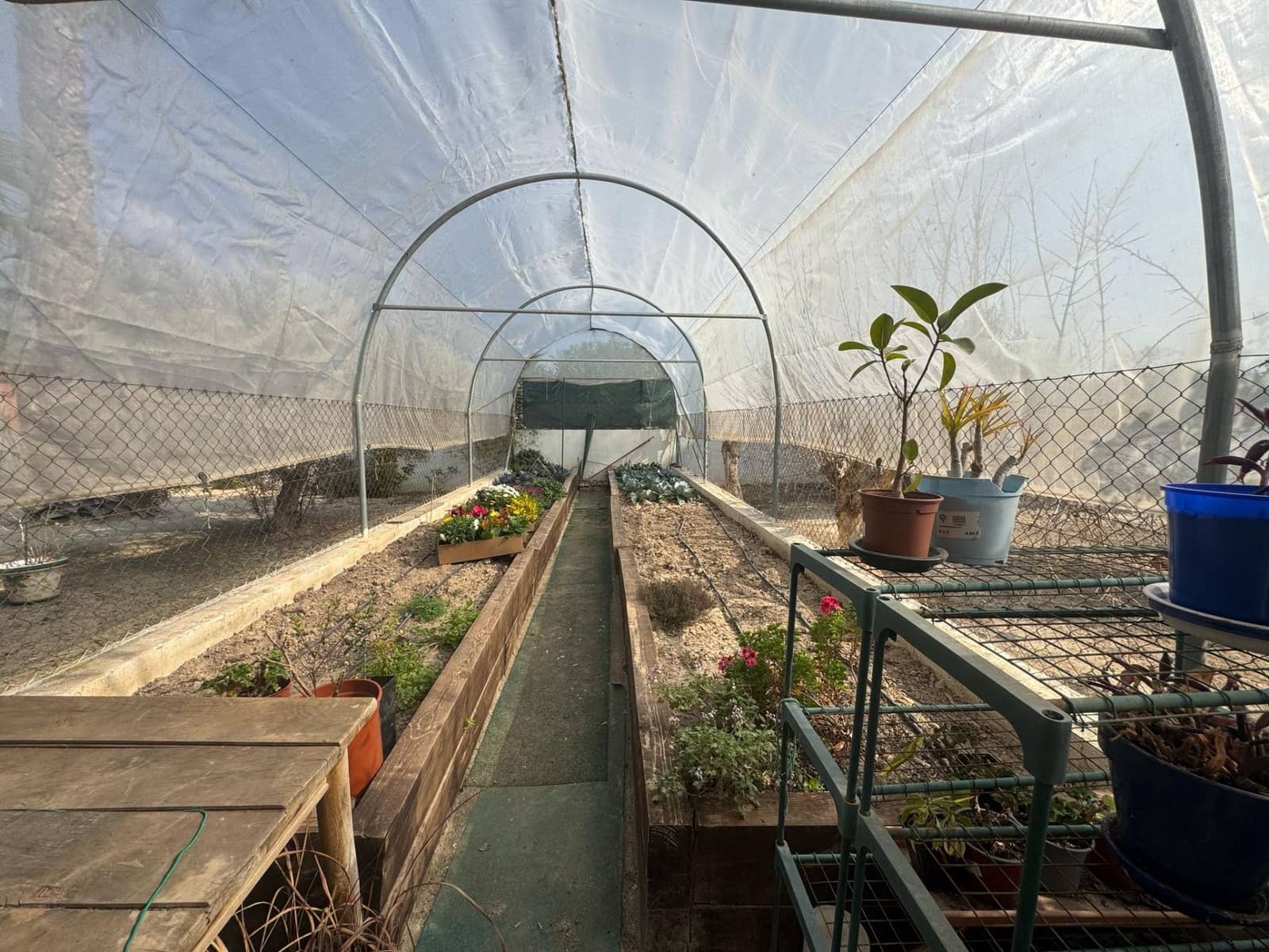 3 chambre Finca/Maison de Campagne à vendre à Daya Vieja avec piscine - 450 000 € (Ref: 8827929)