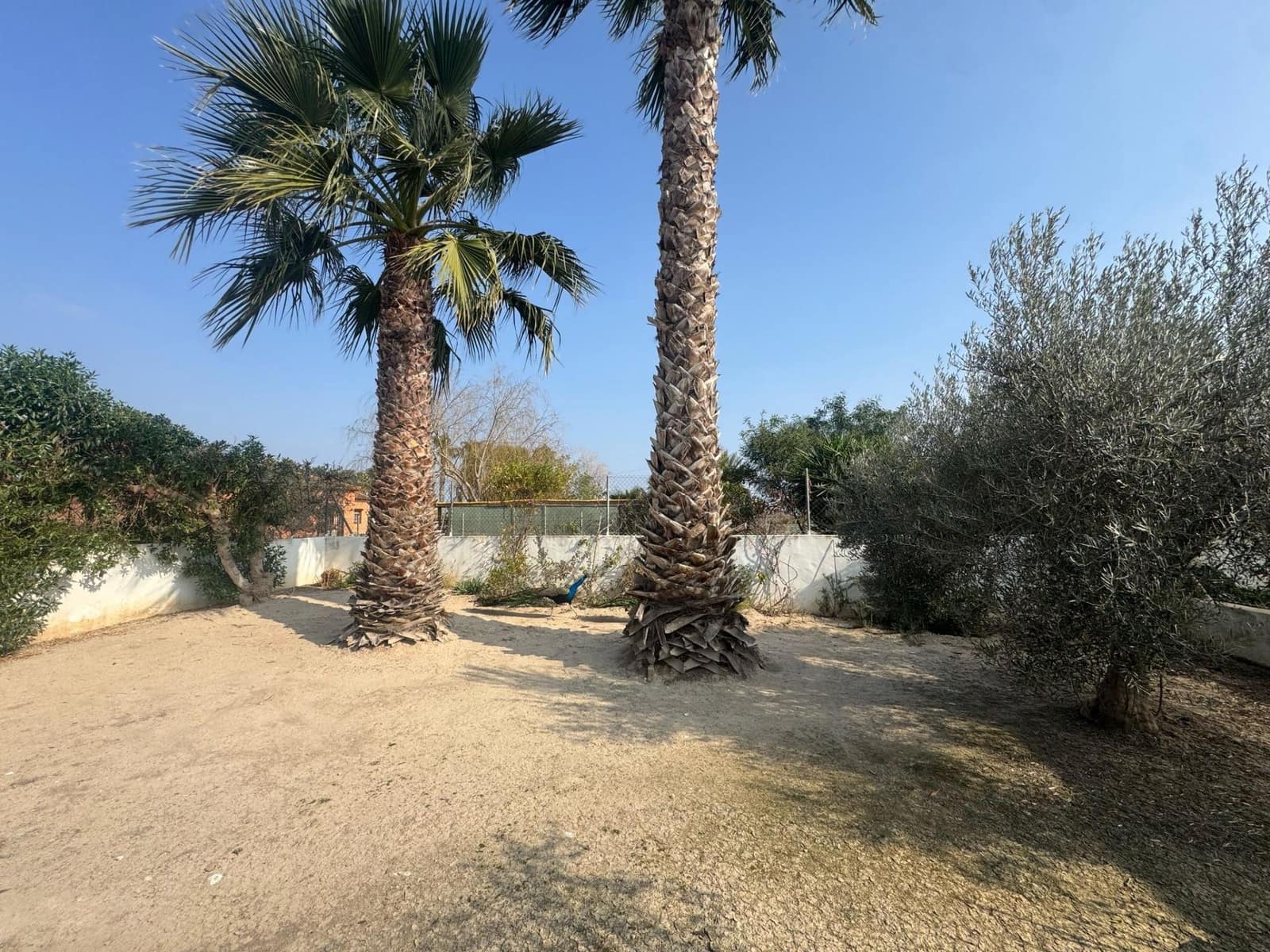 3 chambre Finca/Maison de Campagne à vendre à Daya Vieja avec piscine - 450 000 € (Ref: 8827929)