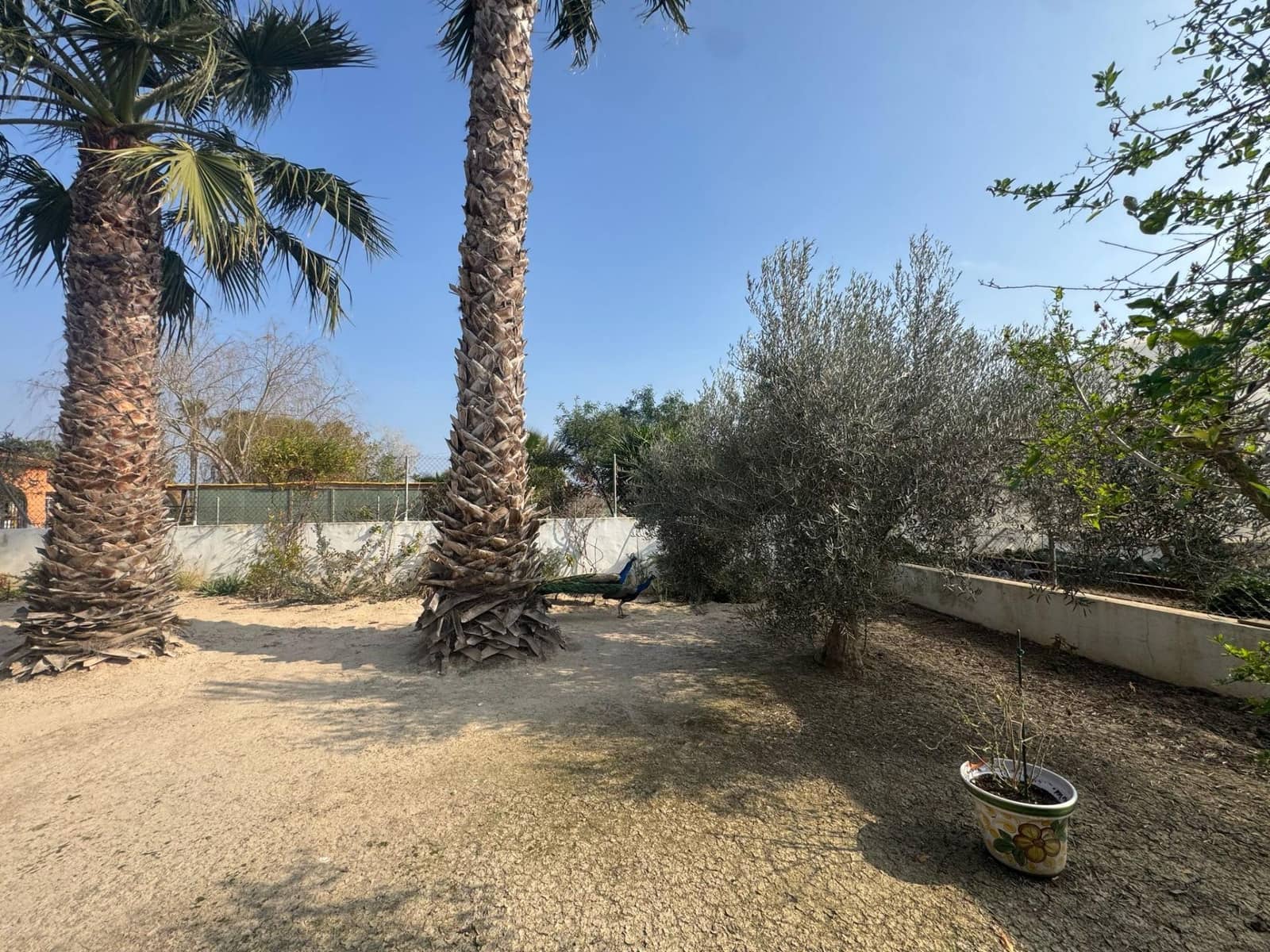 3 chambre Finca/Maison de Campagne à vendre à Daya Vieja avec piscine - 450 000 € (Ref: 8827929)