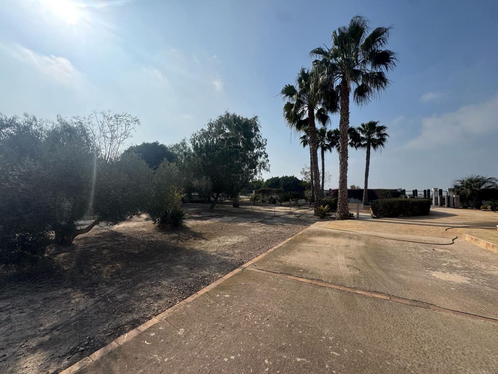 3 chambre Finca/Maison de Campagne à vendre à Daya Vieja avec piscine - 450 000 € (Ref: 8827929)