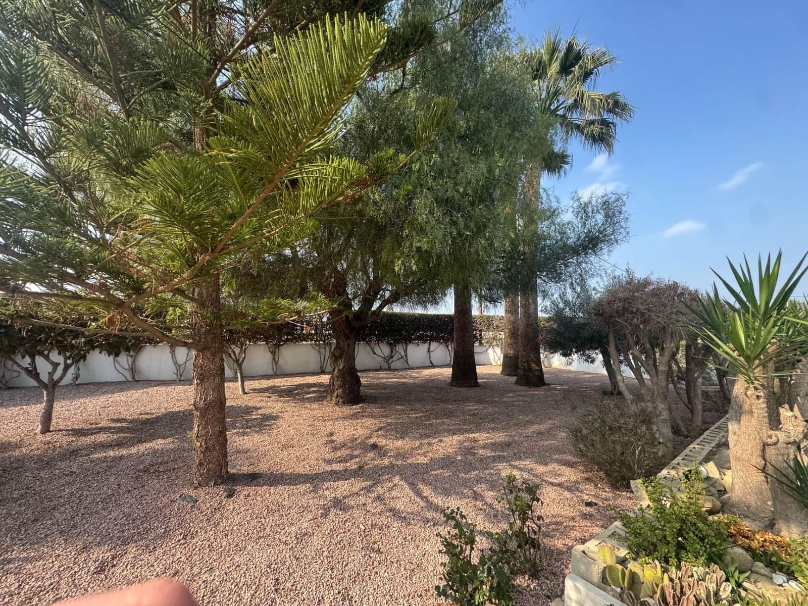 3 chambre Finca/Maison de Campagne à vendre à Daya Vieja avec piscine - 450 000 € (Ref: 8827929)