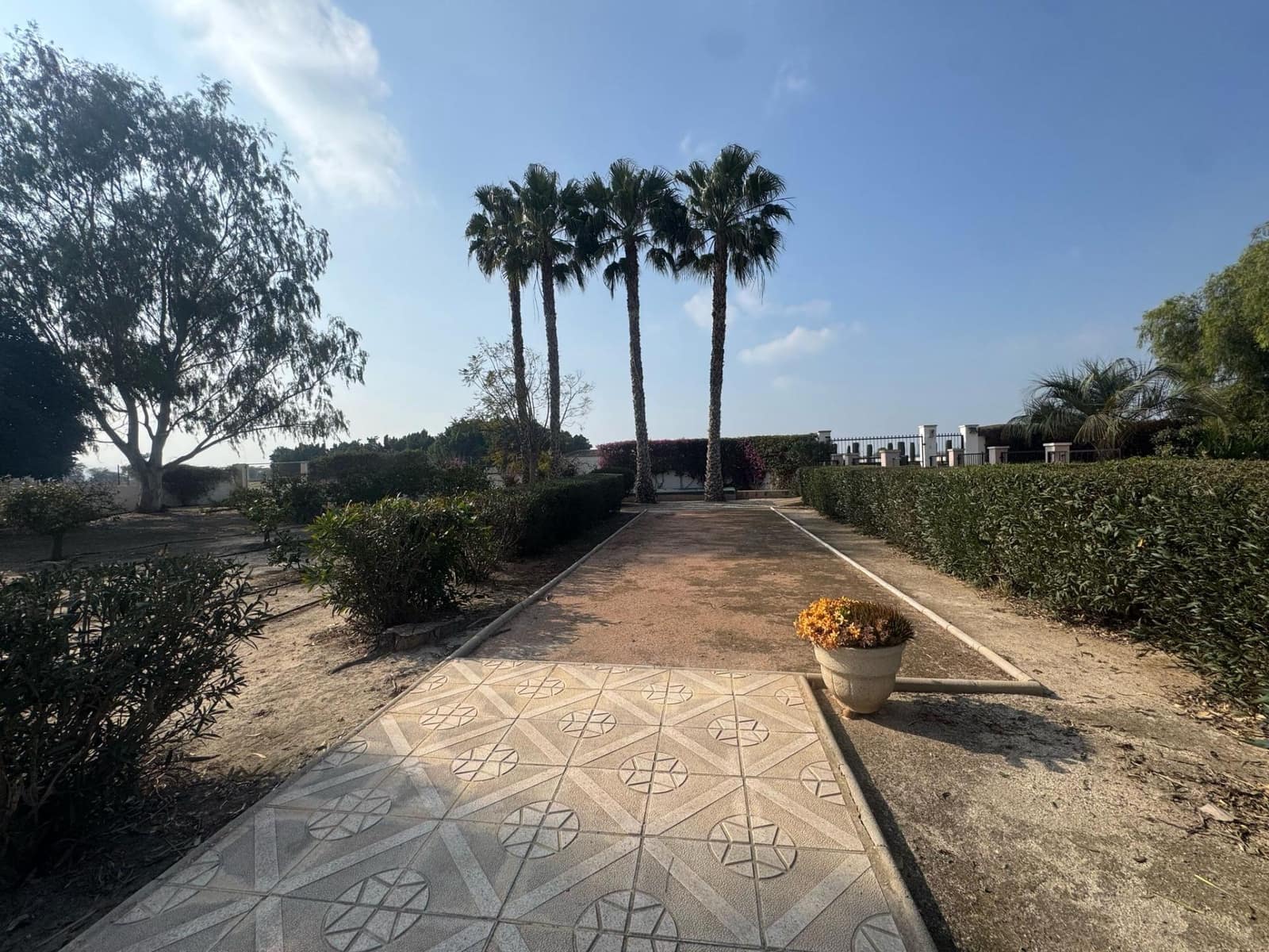 3 chambre Finca/Maison de Campagne à vendre à Daya Vieja avec piscine - 450 000 € (Ref: 8827929)