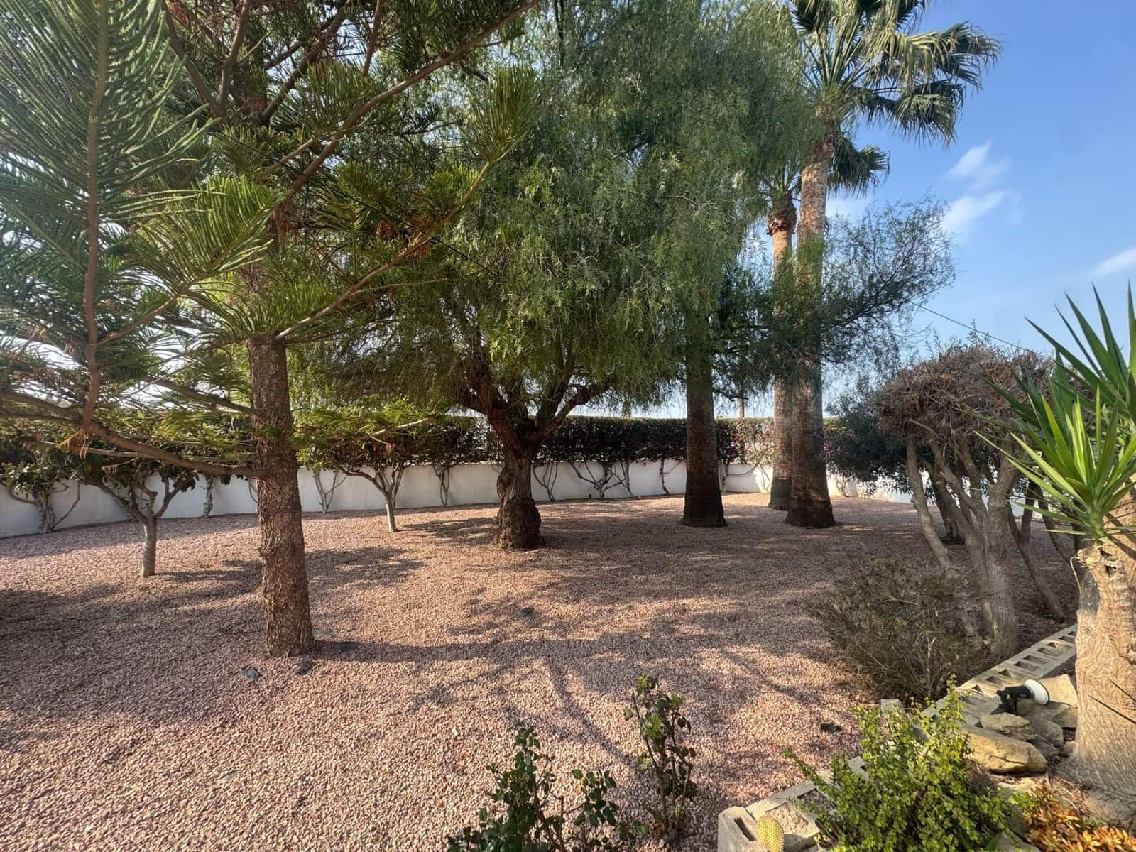 3 chambre Finca/Maison de Campagne à vendre à Daya Vieja avec piscine - 450 000 € (Ref: 8827929)